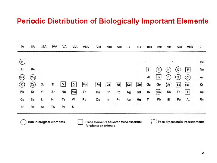Periodic Distribution of Biologically Important Elements 6 