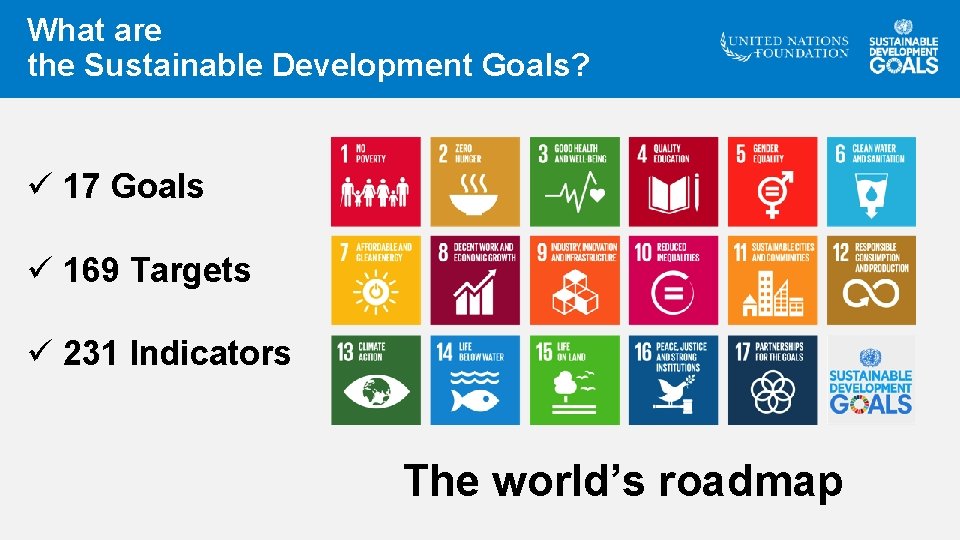 What are the Sustainable Development Goals? ü 17 Goals ü 169 Targets ü 231