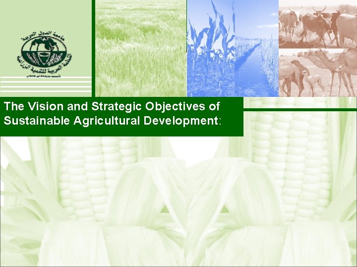 The Vision and Strategic Objectives of Sustainable Agricultural Development: 