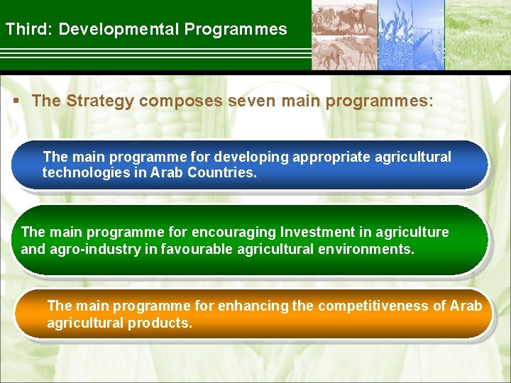 Third: Developmental Programmes § The Strategy composes seven main programmes: The main programme for
