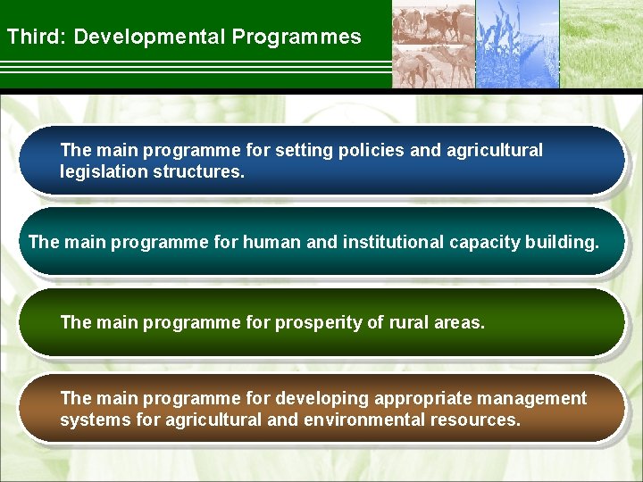 Third: Developmental Programmes The main programme for setting policies and agricultural legislation structures. The