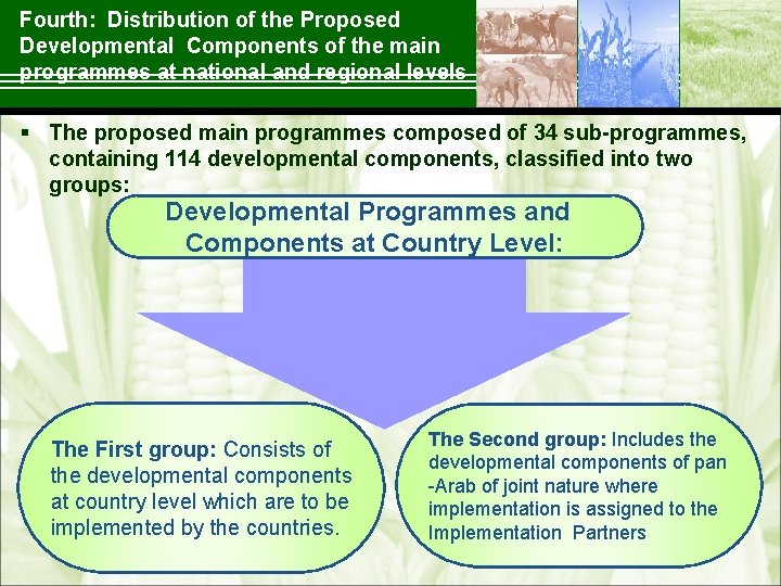 Fourth: Distribution of the Proposed Developmental Components of the main programmes at national and