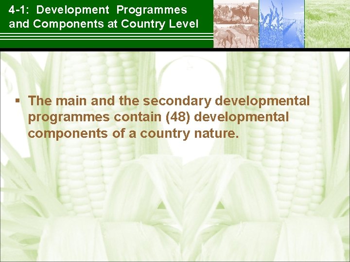 4 1: Development Programmes and Components at Country Level § The main and the