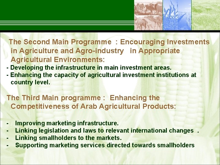  The Second Main Programme : Encouraging Investments in Agriculture and Agro industry in