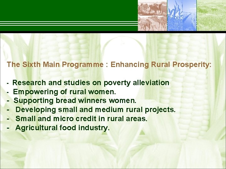 The Sixth Main Programme : Enhancing Rural Prosperity: Research and studies on poverty alleviation