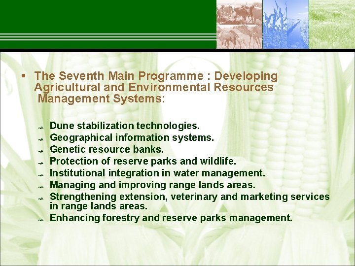 § The Seventh Main Programme : Developing Agricultural and Environmental Resources Management Systems: Dune