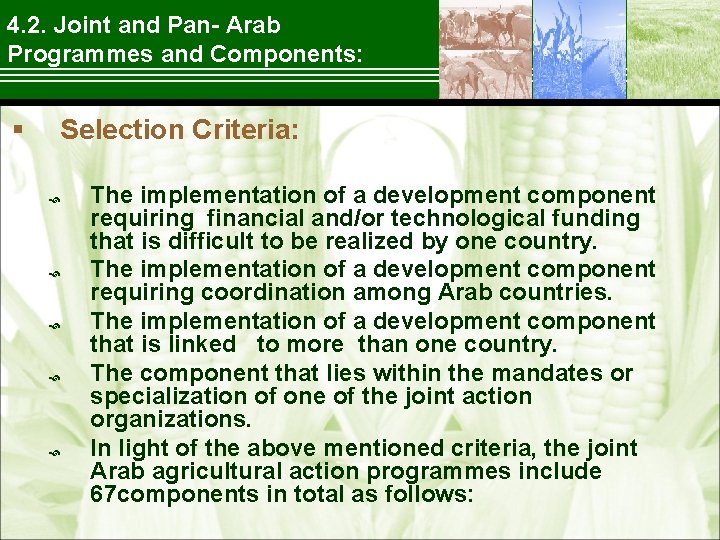 4. 2. Joint and Pan Arab Programmes and Components: § Selection Criteria: The implementation