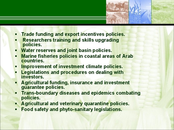 § Trade funding and export incentives policies. § Researchers training and skills upgrading policies.