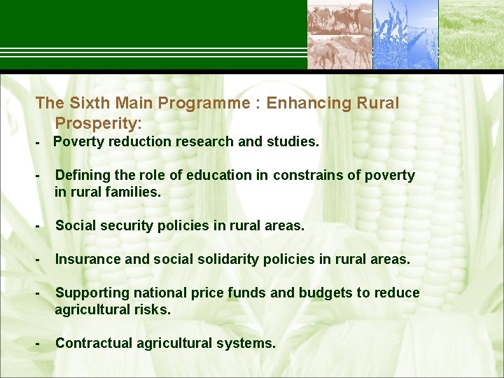 The Sixth Main Programme : Enhancing Rural Prosperity: Poverty reduction research and studies. Defining