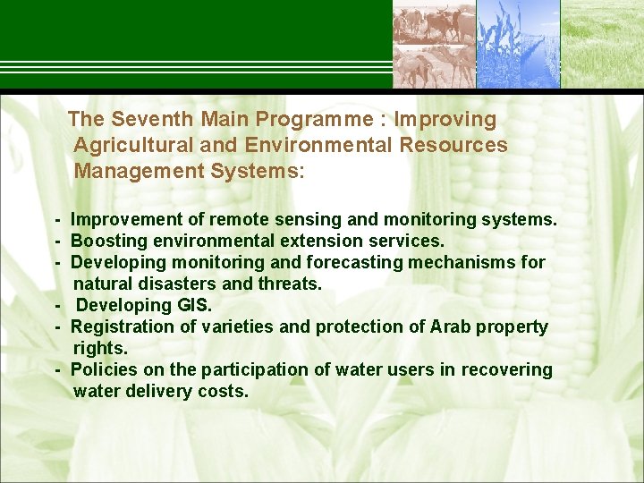  The Seventh Main Programme : Improving Agricultural and Environmental Resources Management Systems: Improvement