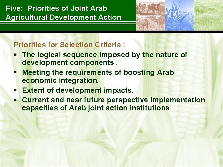 Five: Priorities of Joint Arab Agricultural Development Action Priorities for Selection Criteria : §