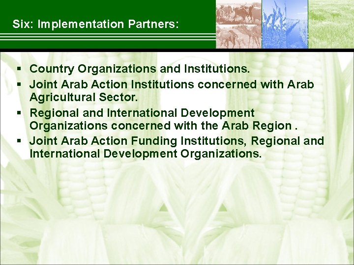  Six: Implementation Partners: § Country Organizations and Institutions. § Joint Arab Action Institutions