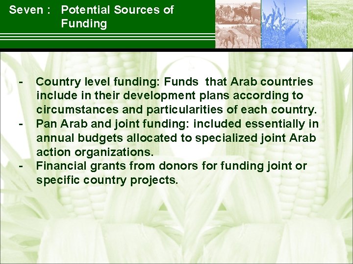 Seven : Potential Sources of Funding Country level funding: Funds that Arab countries include
