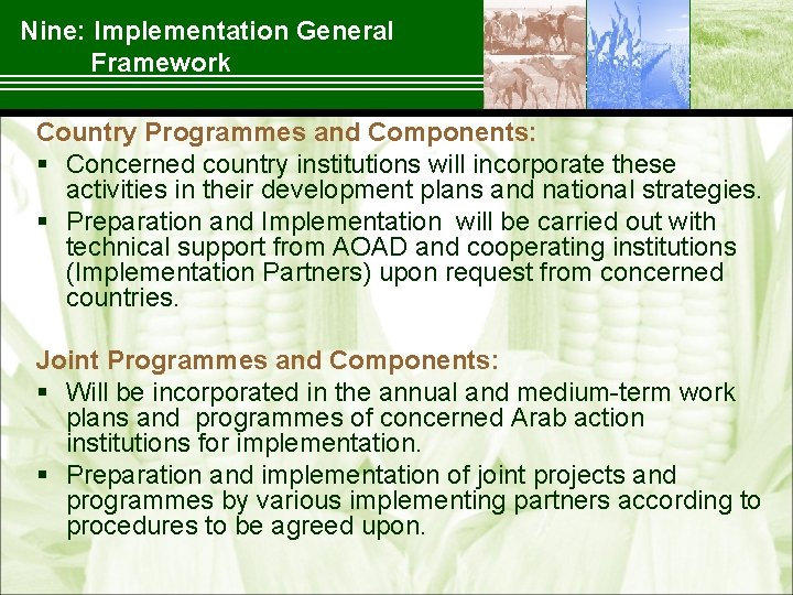 Nine: Implementation General Framework Country Programmes and Components: § Concerned country institutions will incorporate
