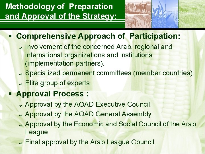 Methodology of Preparation and Approval of the Strategy: § Comprehensive Approach of Participation: Involvement