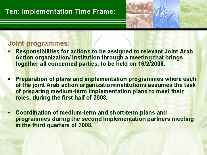 Ten: Implementation Time Frame: Joint programmes: § Responsibilities for actions to be assigned to