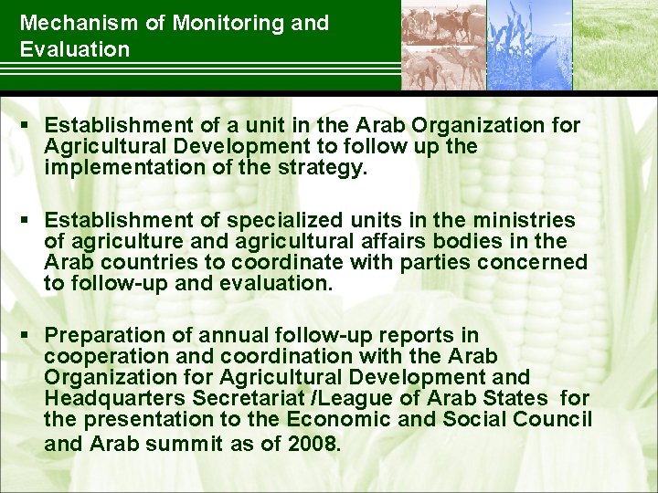 Mechanism of Monitoring and Evaluation § Establishment of a unit in the Arab Organization