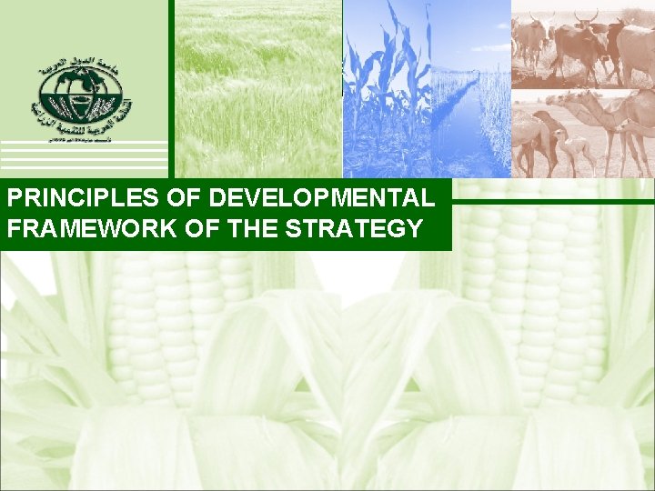 PRINCIPLES OF DEVELOPMENTAL FRAMEWORK OF THE STRATEGY 