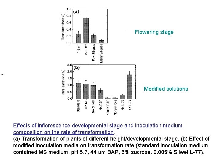 Flowering stage Modified solutions Effects of inflorescence developmental stage and inoculation medium composition on