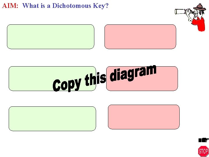 AIM: What is a Dichotomous Key? 