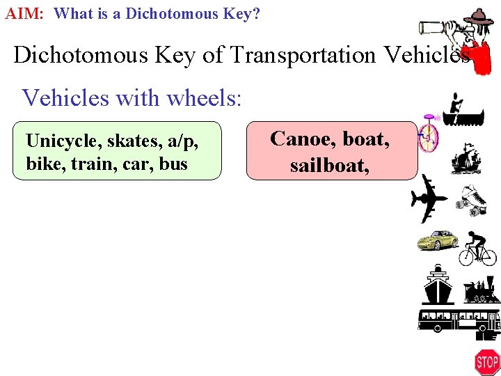 AIM: What is a Dichotomous Key? Dichotomous Key of Transportation Vehicles with wheels: Unicycle,