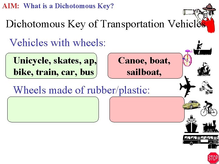 AIM: What is a Dichotomous Key? Dichotomous Key of Transportation Vehicles with wheels: Unicycle,