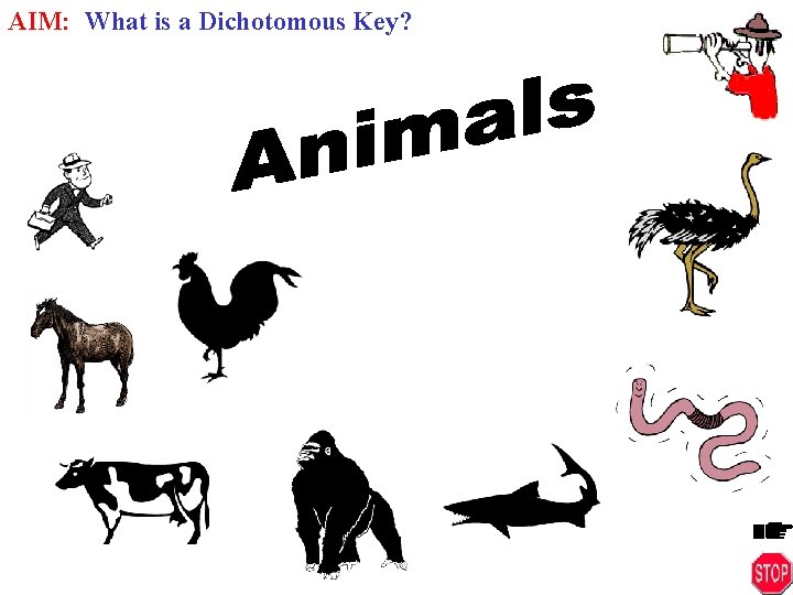 AIM: What is a Dichotomous Key? 