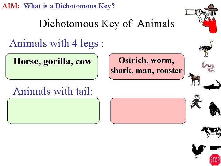 AIM: What is a Dichotomous Key? Dichotomous Key of Animals with 4 legs :