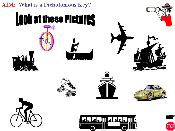 AIM: What is a Dichotomous Key? 