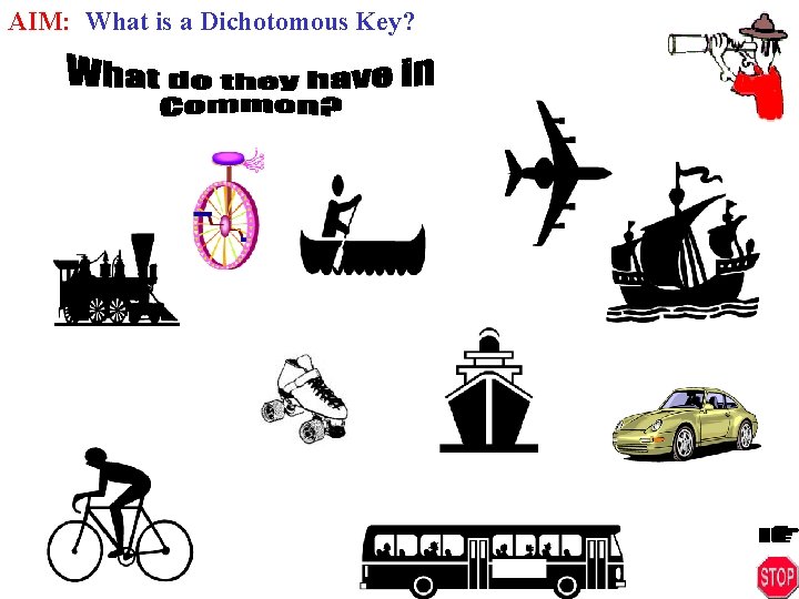 AIM: What is a Dichotomous Key? 