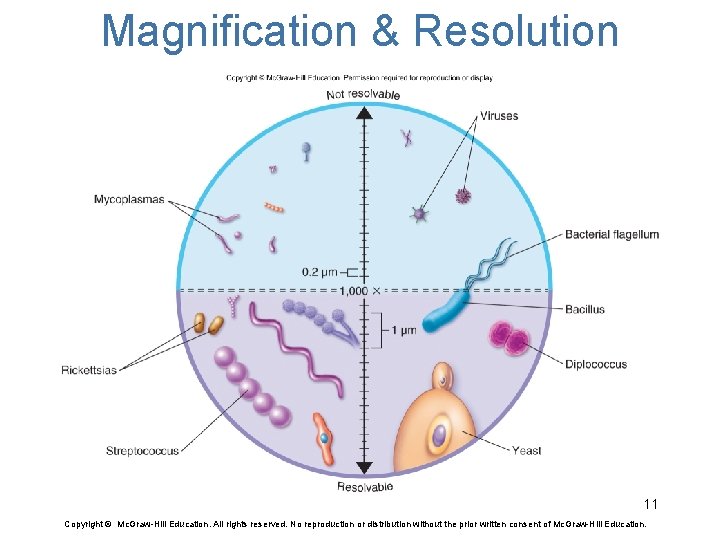 Magnification & Resolution 11 Copyright © Mc. Graw-Hill Education. All rights reserved. No reproduction