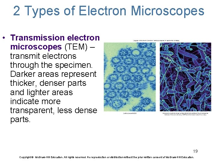 2 Types of Electron Microscopes • Transmission electron microscopes (TEM) – transmit electrons through