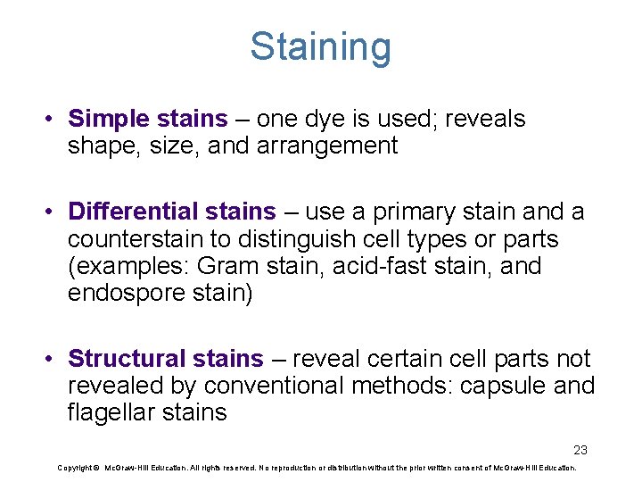 Staining • Simple stains – one dye is used; reveals shape, size, and arrangement