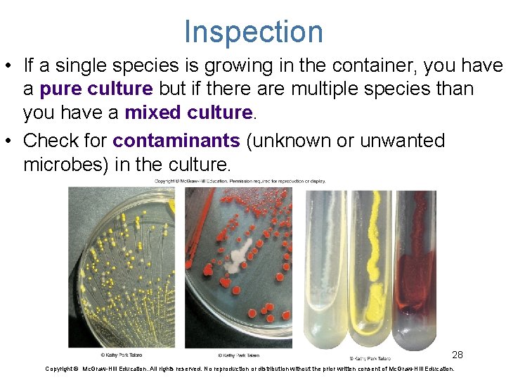 Inspection • If a single species is growing in the container, you have a