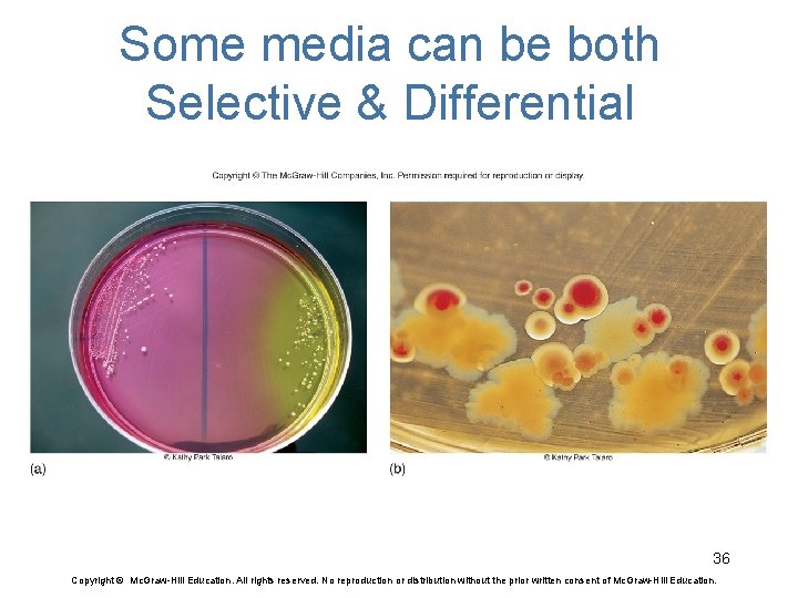 Some media can be both Selective & Differential 36 Copyright © Mc. Graw-Hill Education.