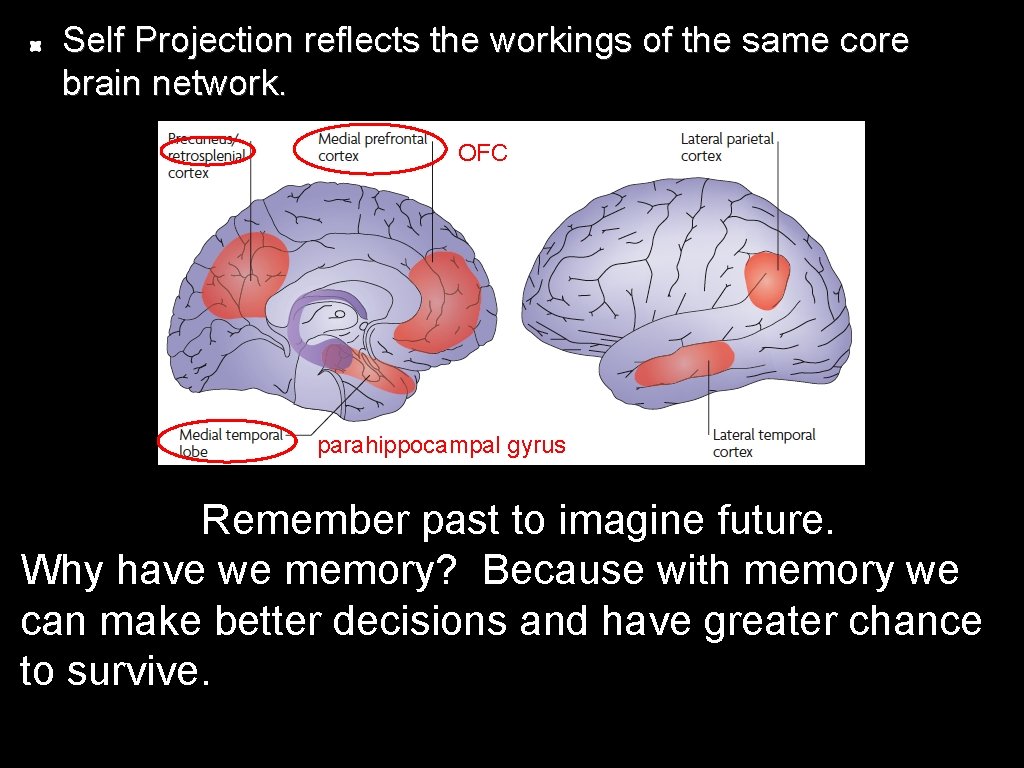 Self Projection reflects the workings of the same core brain network. OFC parahippocampal gyrus