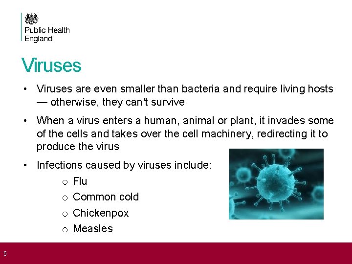 Viruses • Viruses are even smaller than bacteria and require living hosts — otherwise,