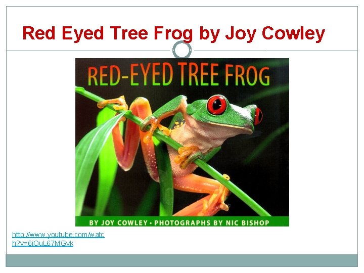 Red Eyed Tree Frog by Joy Cowley http: //www. youtube. com/watc h? v=6 i.
