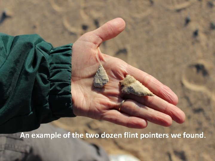 An example of the two dozen flint pointers we found. 