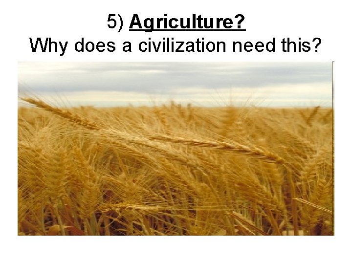 5) Agriculture? Why does a civilization need this? 