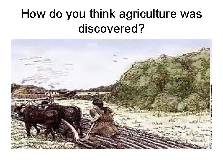 How do you think agriculture was discovered? 