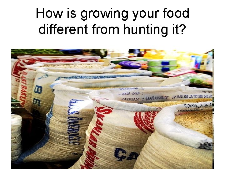 How is growing your food different from hunting it? 
