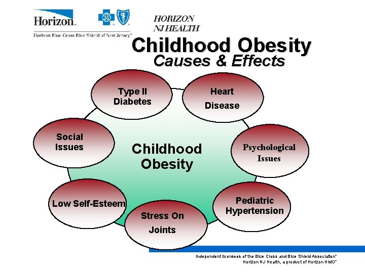Childhood Obesity Causes & Effects Type II Diabetes Social Issues Heart Disease Childhood Obesity