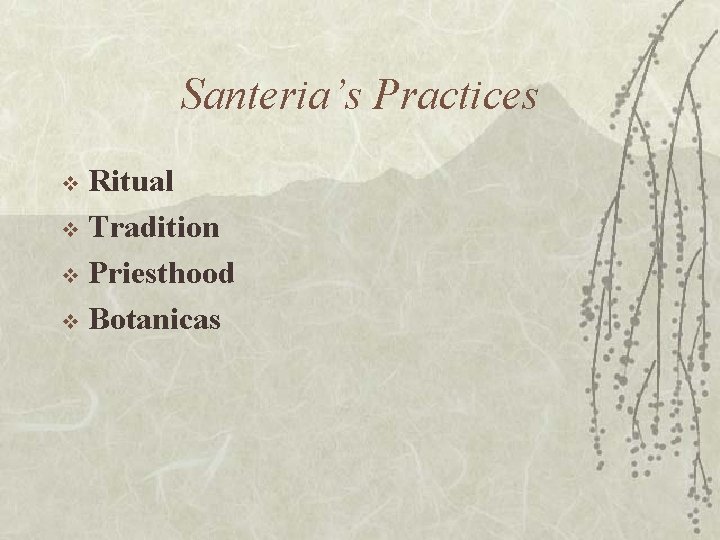 Santeria’s Practices Ritual v Tradition v Priesthood v Botanicas v 