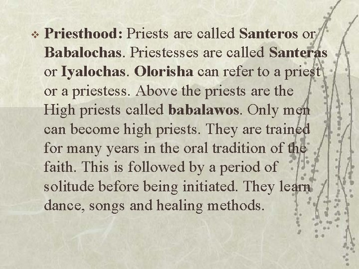 v Priesthood: Priests are called Santeros or Babalochas. Priestesses are called Santeras or Iyalochas.
