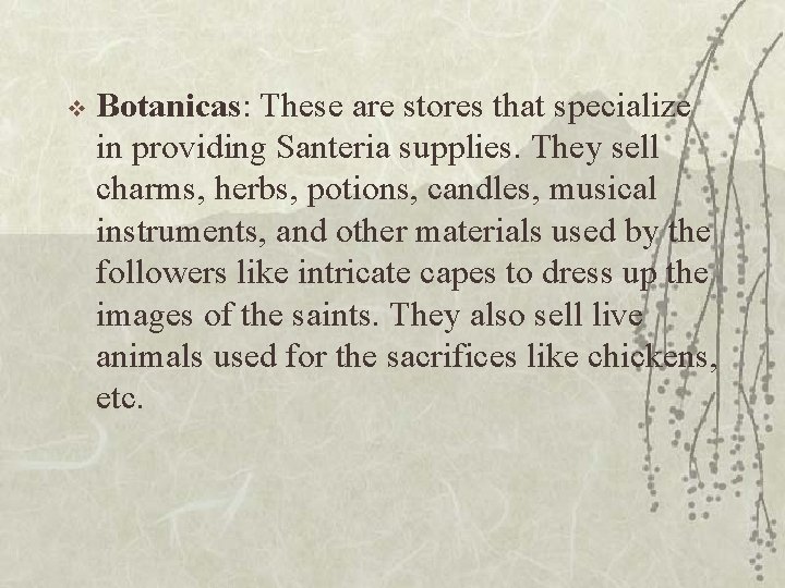 v Botanicas: These are stores that specialize in providing Santeria supplies. They sell charms,