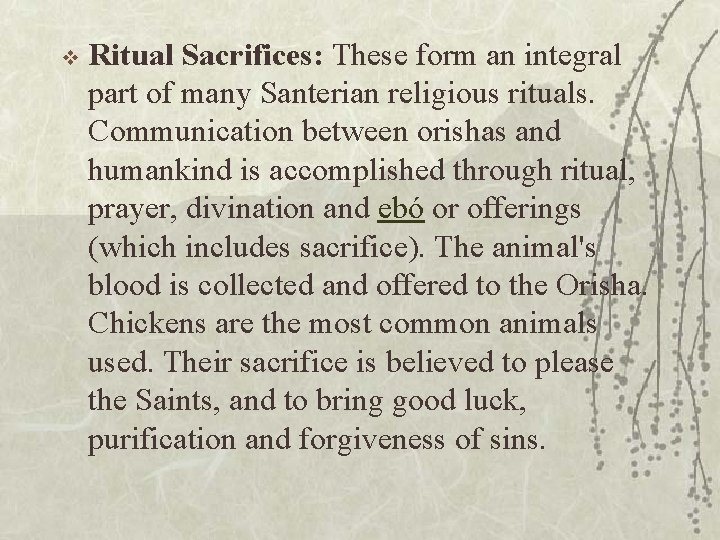 v Ritual Sacrifices: These form an integral part of many Santerian religious rituals. Communication