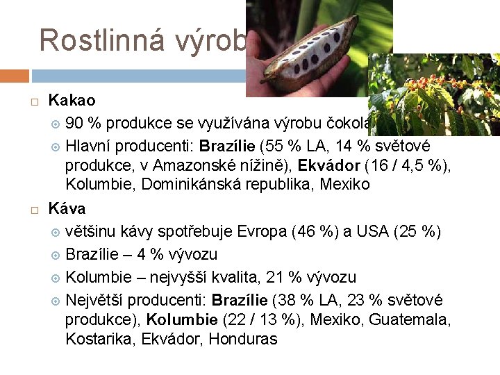 Rostlinná výroba Kakao 90 % produkce se využívána výrobu čokolády Hlavní producenti: Brazílie (55