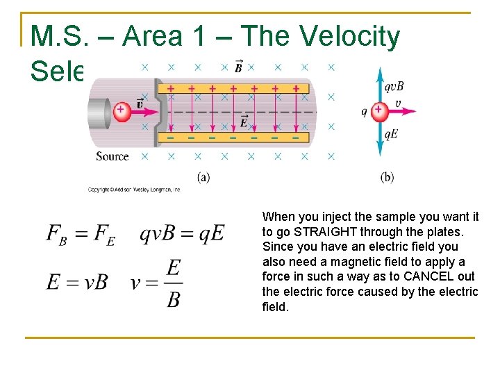 M. S. – Area 1 – The Velocity Selector When you inject the sample