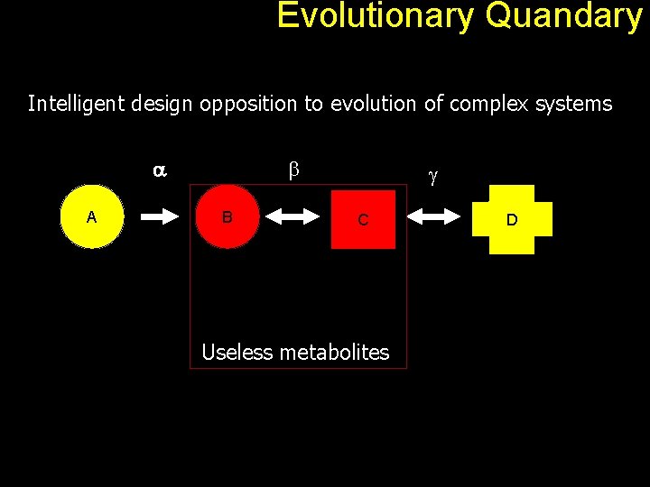 Evolutionary Quandary Intelligent design opposition to evolution of complex systems a A b B